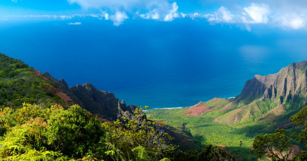 how-to-become-a-paralegal-in-hawaii